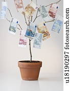Money growing in a pot