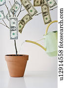 Money growing in a pot