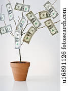 Money growing in a pot