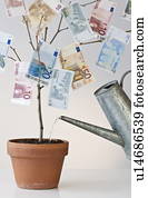 Money growing in a pot