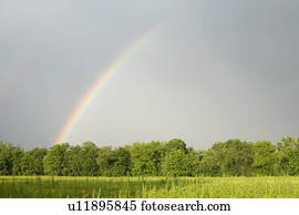 un, arco irirs, en, un, campo