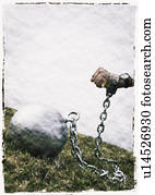 A ball and chain