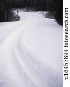 Snowy path