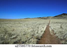 rastro, guiando, para, um, vulcão