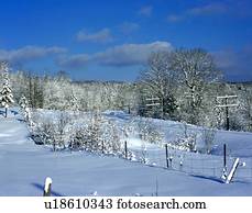 winter- szene winter- szene
