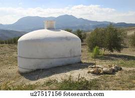 Water deposit for olive trees