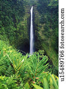 Waterfall in Akaka Falls State Park
