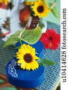 Tropical Arrangements, Differential Focus