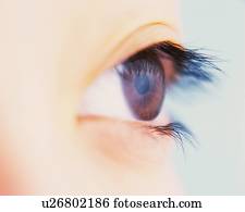 Closed Up Image of a No-makeup Eye, Differential Focus