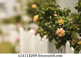 Gartenzaun Stock Photo Bilder 11.253 gartenzaun Lizenzfreie Bilder und