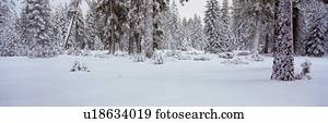 winterbilder, schneesturm, in, dass, see tahoe, bereiche winterbilder, schneesturm, in, dass, see tahoe, bereiche