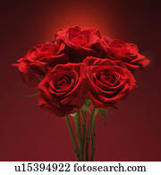 buquet, de, rosas vermelhas, contra, vermelho, experiência.