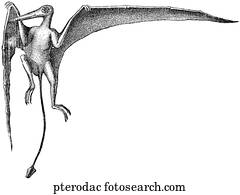 prehistoric pterodactyl
