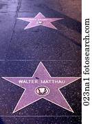 Walter Matthau`s Star Hollywood Boulevard Los Angeles Walter Matthau`s Star Hollywood Boulevard Los Angeles